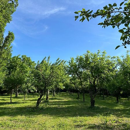 Villa Dunya Montepulciano Stazione Kültér fotó