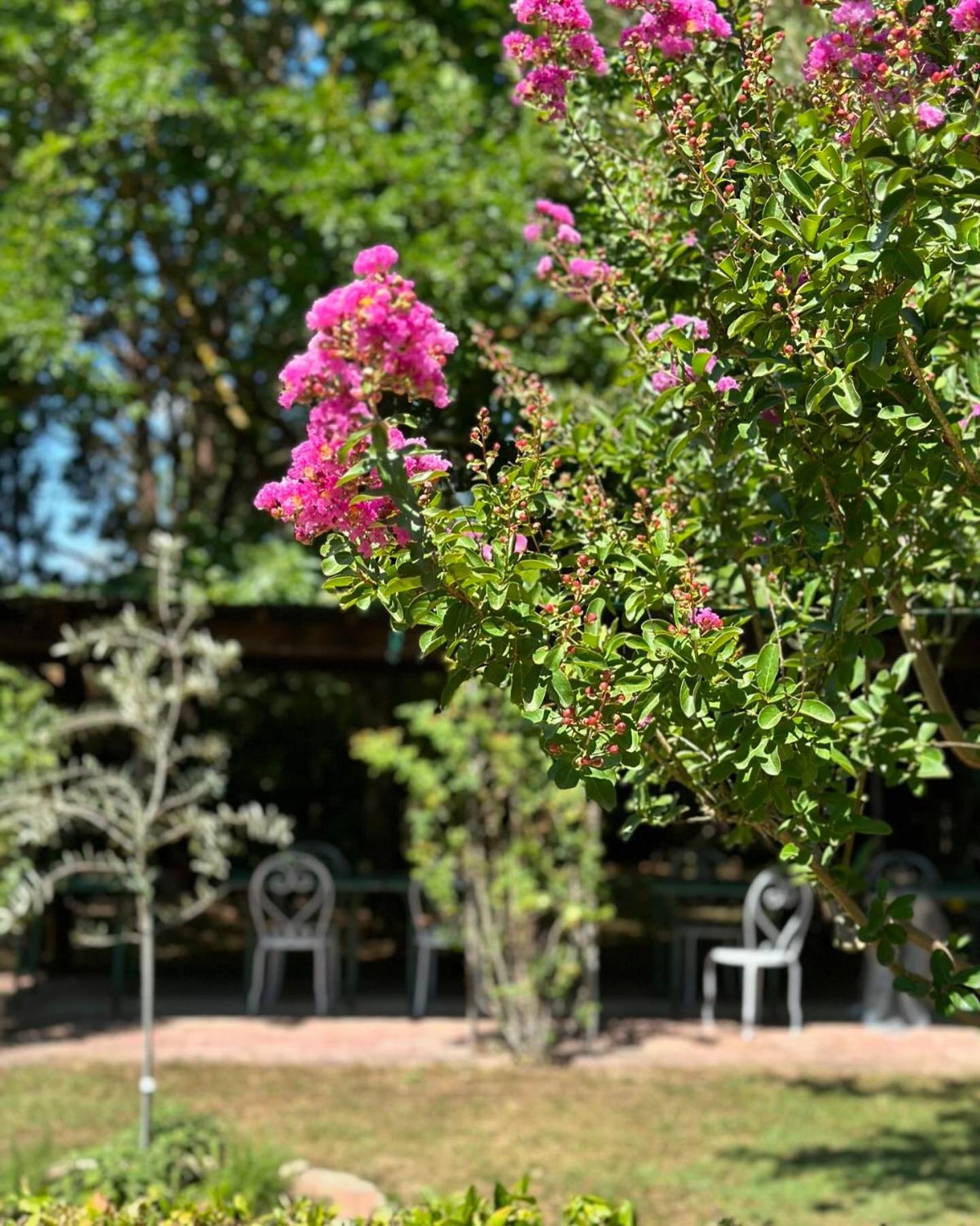 Villa Dunya Montepulciano Stazione Kültér fotó